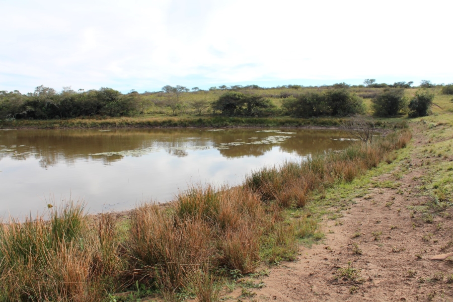 1 Bedroom Property for Sale in Bathurst Rural Eastern Cape
